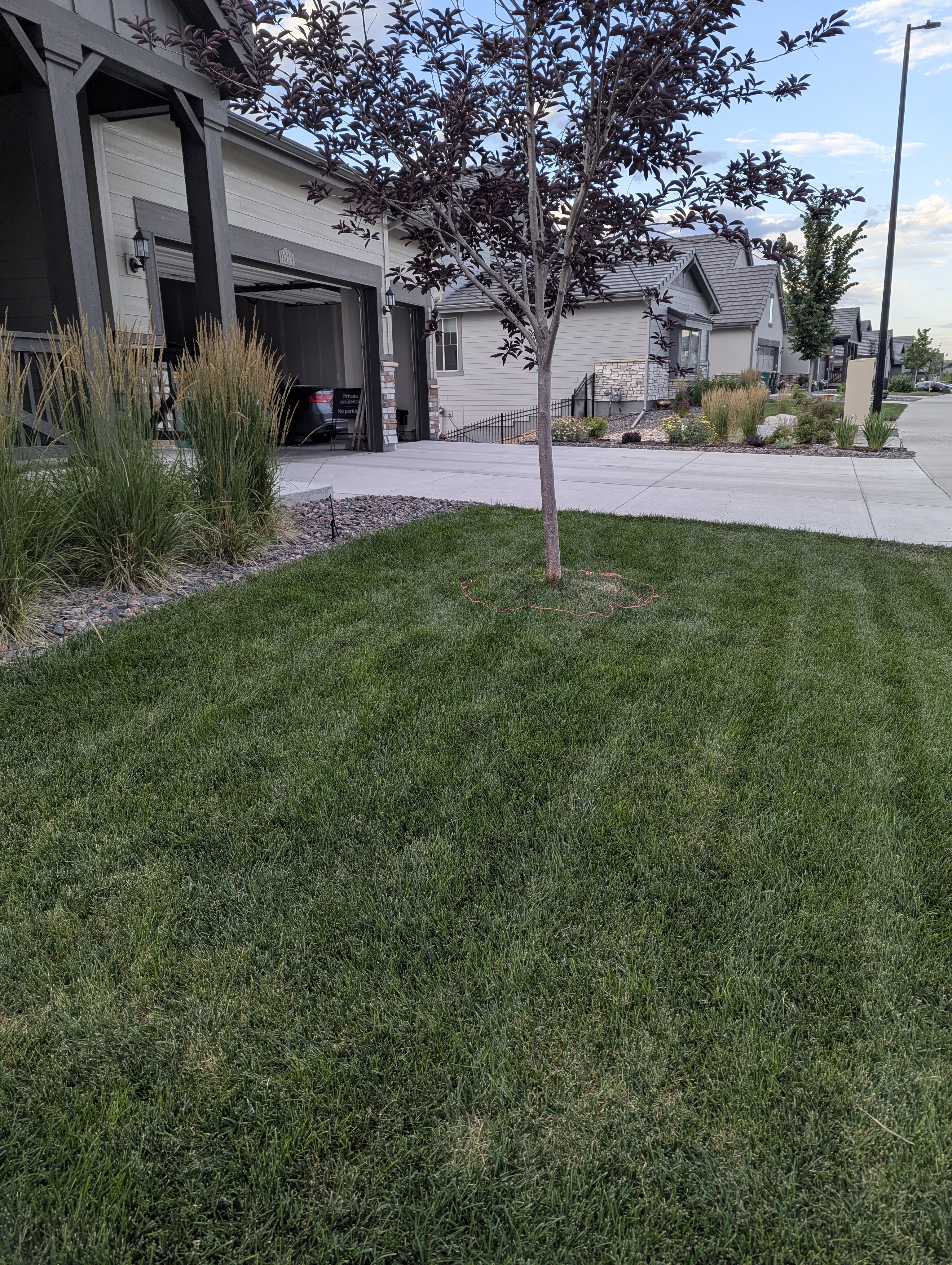 Garden, Morrison, Colorado